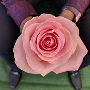 Meet your Posher, Lakitta kitrelle